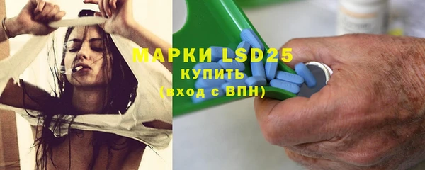 твердый Арсеньев