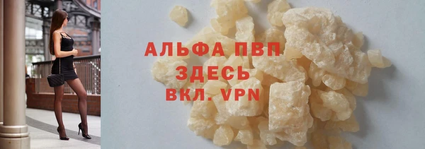 твердый Арсеньев