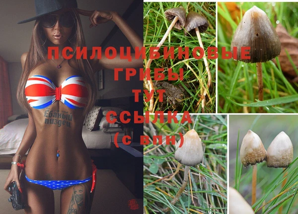 твердый Арсеньев